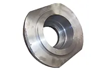 Roller Bearing Housing